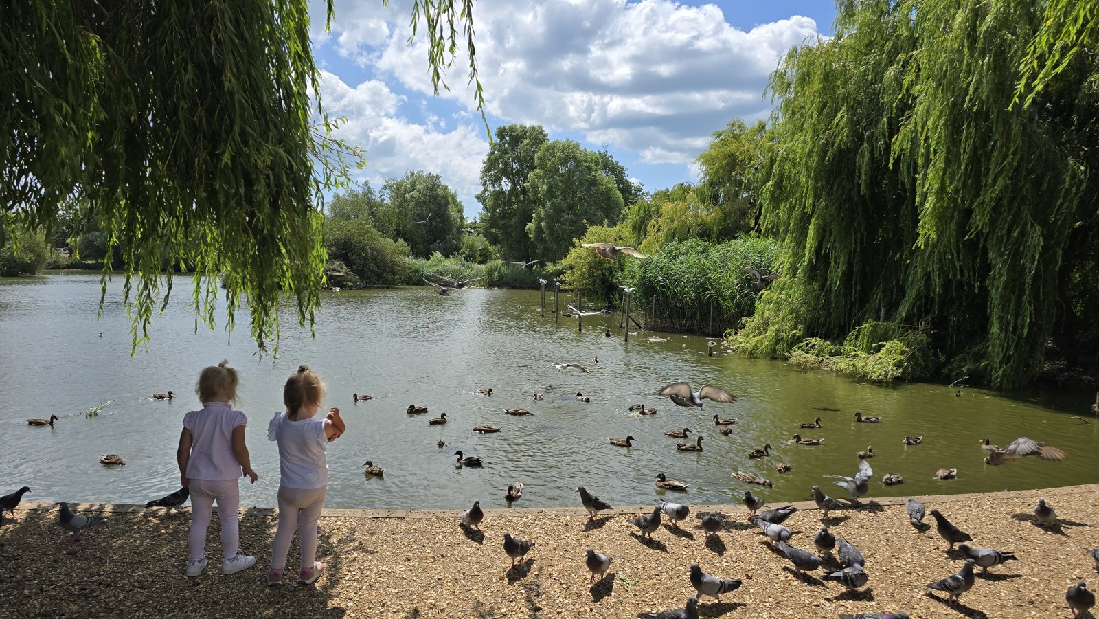 Children feeding ducks at Baffins Pond, Portsmouth