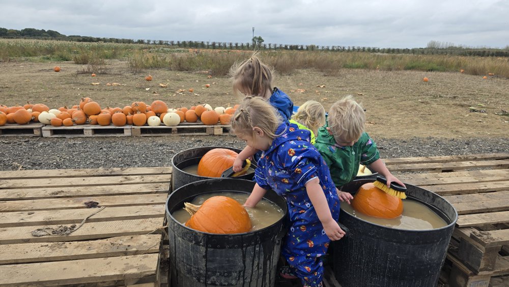 Children washing pumpkins at the pumpkin patch